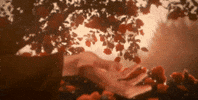 Pla GIF