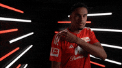 Wipe Germany GIF by Bundesliga