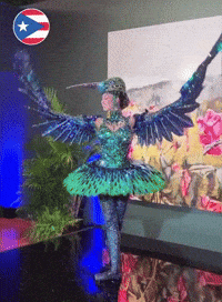 prsupport miss universe mupr miss universe puerto rico zashely alicea GIF