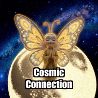 Divine GIF by BuddhaFlyJourney