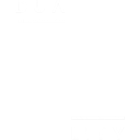 Duality_projetos giphyupload duality dualitypt dualityprojetos Sticker