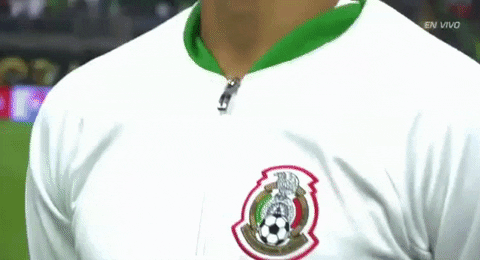 copa america centenario mexico GIF by Univision Deportes