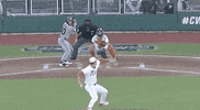 Baseball College GIF by NCAA Championships