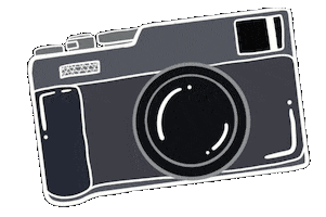 Photography Picture Sticker by Roman