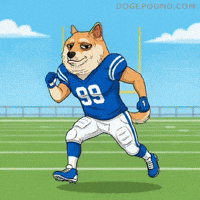 Lets Go Running GIF by Doge Pound