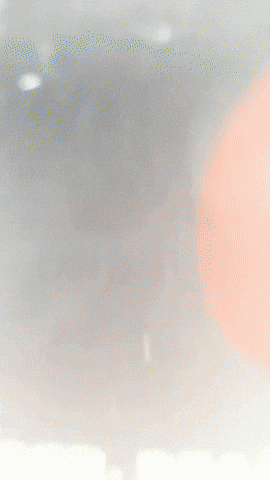 Laika GIF by Youtooz