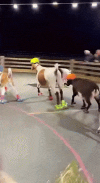 Fall Rollerblading GIF