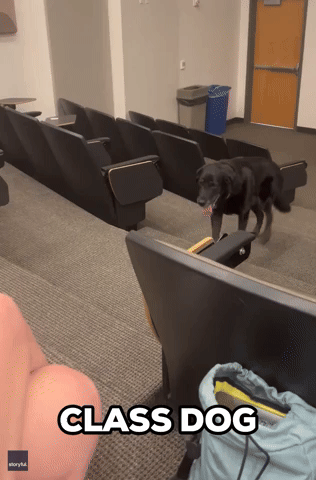 Dog Attends College Class