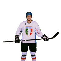 federazioneghiaccio hockey ice wintersport sportinvernali Sticker