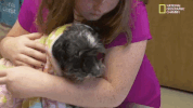 season 8 DRPOL GIF by Nat Geo Wild 