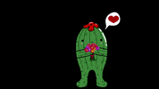 cactukowa cactukowa GIF