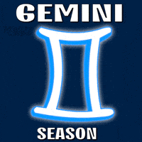 Happy Birthday GIF by Pudgy Penguins