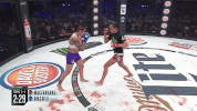 GIF by Bellator