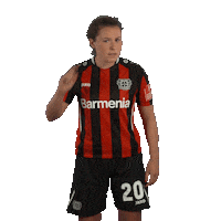 Werkself What Sticker by Bayer 04 Leverkusen