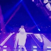 Skz Stay GIF
