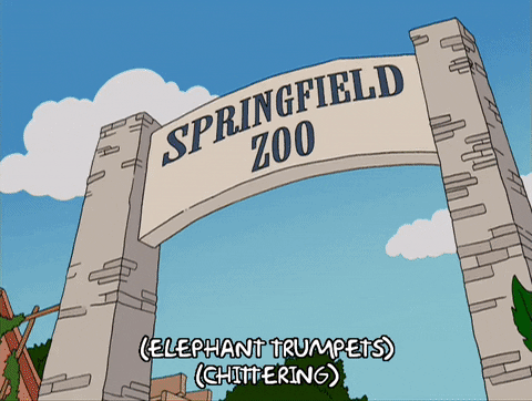 homer simpson GIF