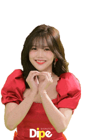 Dicon Sticker by koreadispatch