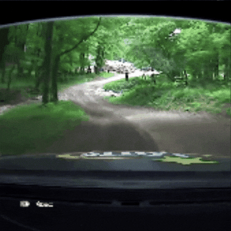 Car Crash GIF by FIA European Rally Championship