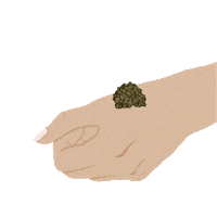 Caviardreams Sticker by The Caviar Co.