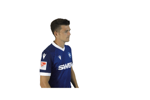 Soccer Bundesliga Sticker by Karlsruher SC