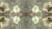 Art Love GIF by jorgemariozuleta