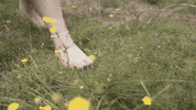 HuttopiaEurope nature free share moments GIF
