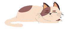 imalexmurphy cat sleep kitty sleepy Sticker