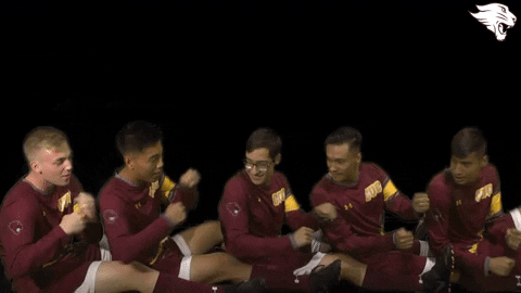 Cuc19 D3Soc GIF by CUCougars