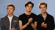 Sarcastic Clap GIF by New Hope Club
