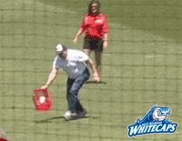 excited grand rapids GIF by West Michigan Whitecaps 
