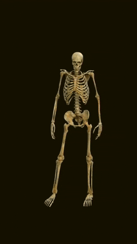smhayden giphyupload GIF
