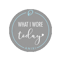 Accessories Pins Sticker by anixigifts