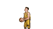 Celebration Basketball Sticker by Trefl Sopot