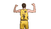 Basketball Koszykowka Sticker by Trefl Sopot