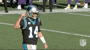 Carolina Panthers Football GIF by NFL