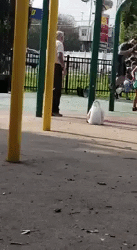 madmoizelledotcom  GIF