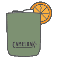 Party Celebrate Sticker by CamelBak