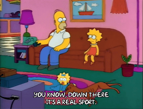 Season 2 Episode 13 GIF by The Simpsons
