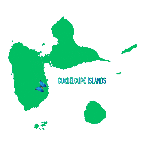 Basse-Terre Sticker