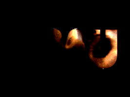 Art Glitch GIF