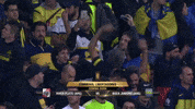GIF by FOX Sports