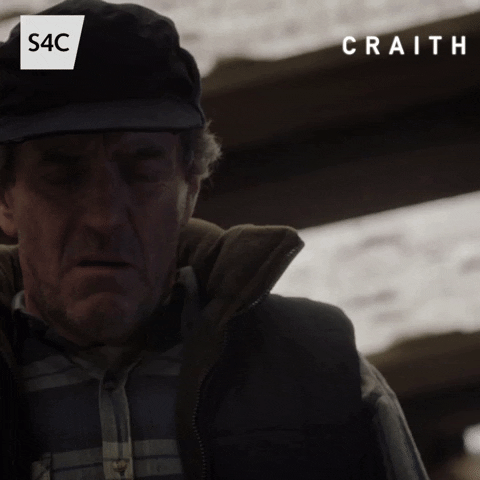 Oh My Wow GIF by S4C