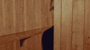 New Zealand Reaction GIF by Sub Pop Records