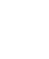 Rosa Paz Sticker