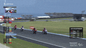 Phillip Island Racing GIF by MotoGP
