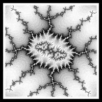 Loop Nft GIF by xponentialdesign