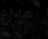 Hey Boy Hey Girl Skeletons GIF by The Chemical Brothers