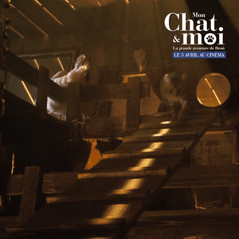 Cat Kitty GIF by Silenzio Interactive