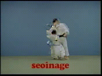 Highlight Judo GIF