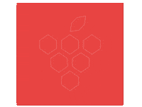 Sanlymarket market sanly sanlymarket санлы маркет Sticker